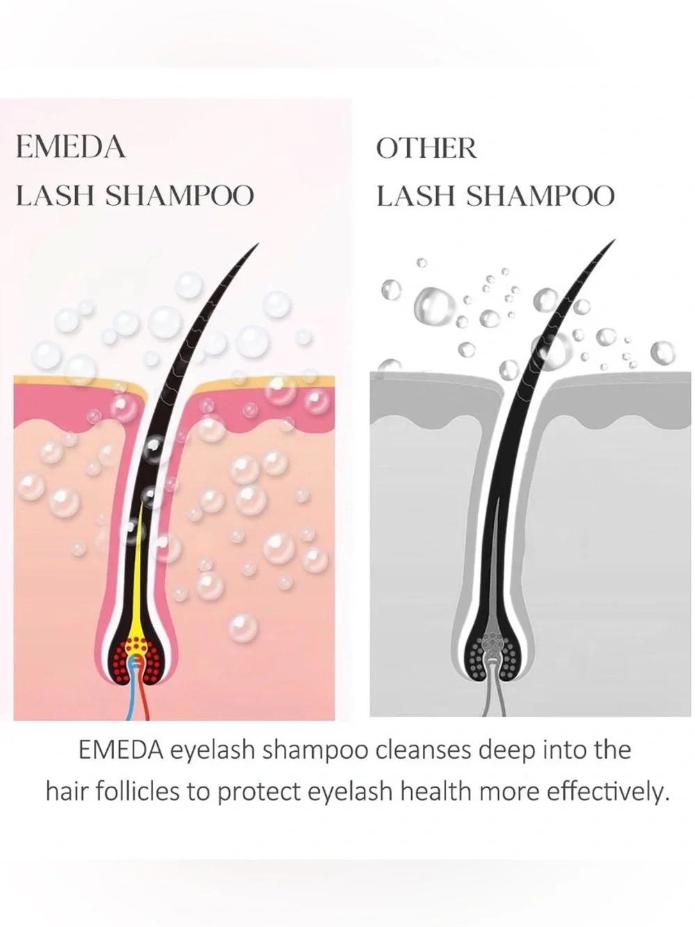 Lash Shampoo Kit